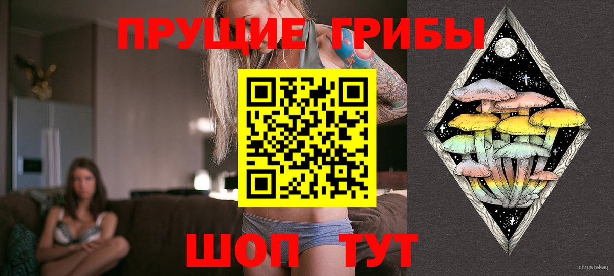 дарнет шоп  Вход с VPN  Галлюциногенные грибы Magic Shrooms  Горячий Ключ  Галлюциногенные грибы Cubensis 