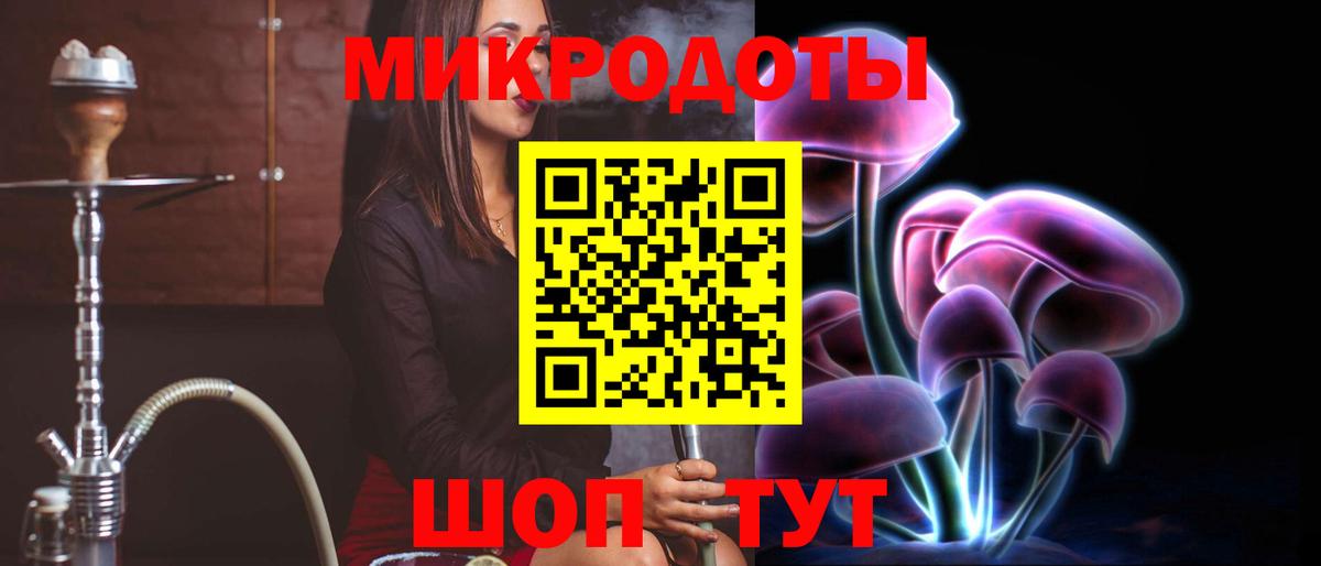 Псилоцибиновые грибы Psilocybine cubensis Горячий Ключ