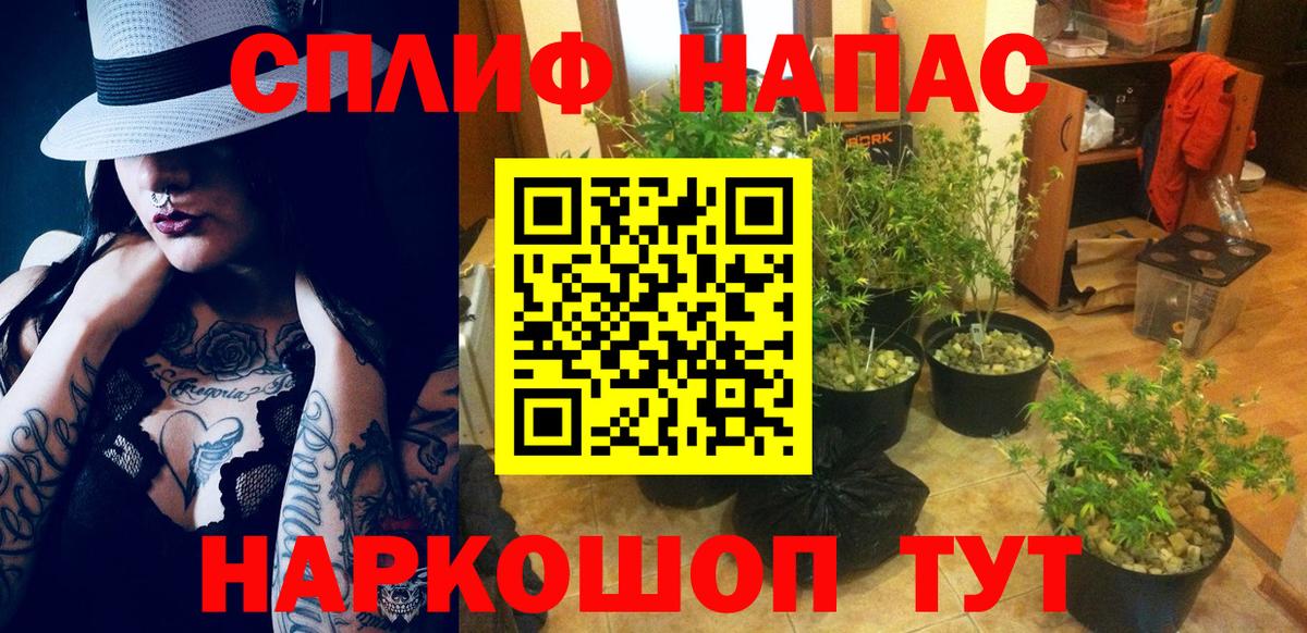 Горячий Ключ  Бошки Шишки тримм  Вход с VPN  Каннабис конопля  Марихуана OG Kush  Шишки марихуана сатива 